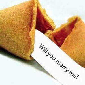 2 Você quer se casar comigo? Biscoitos da sorte