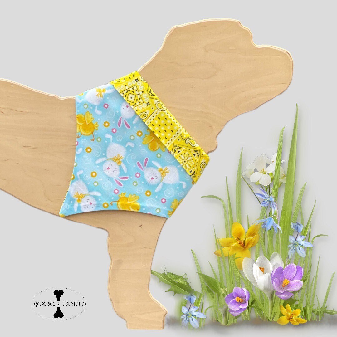 Foulard Bandana //Hello Sunshine// Pour Chien ou Chat, Réversible, Design Unique