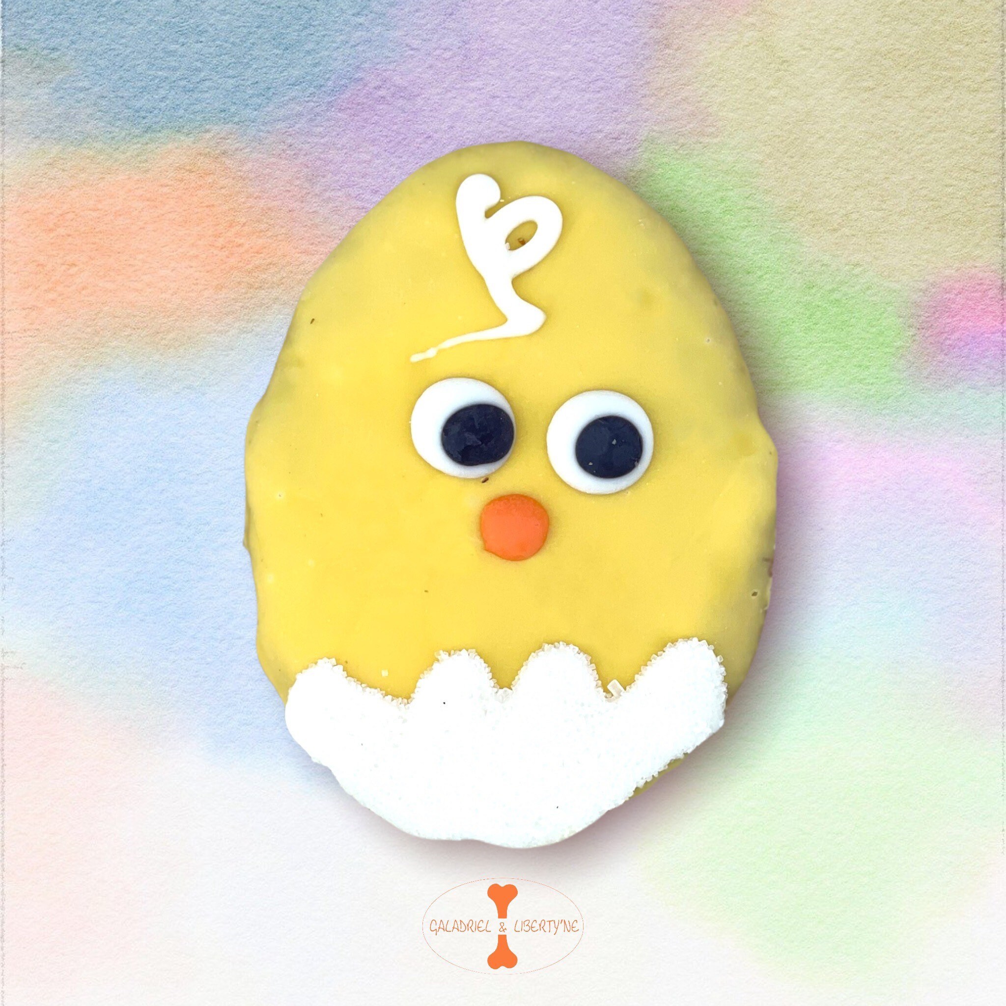 Gourmandise //Poussin Chick// Gâteau Biscuit de Pâques Pour Chien