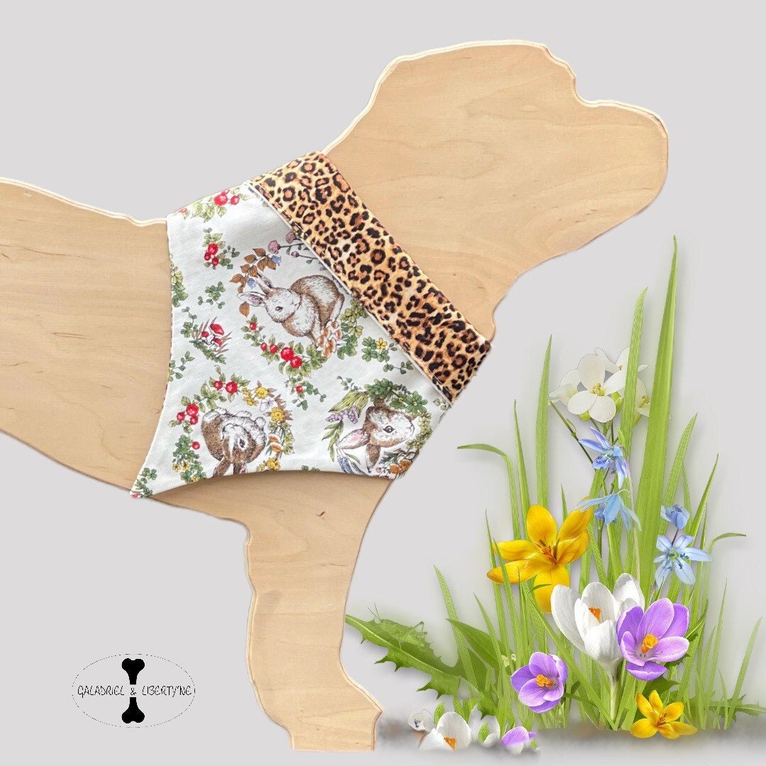 Foulard Bandana //Lucky Bunny// Pour Chien ou Chat, Réversible, Design Unique