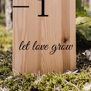 Growth Chart Ruler Add-On Let Love Grow Décalque