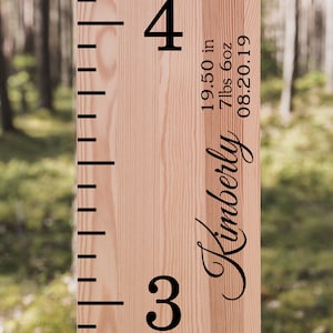Growth Chart Ruler Add-On Name and Birth Stats decal, Custom Name Sticker, Growth Chart Side Decal