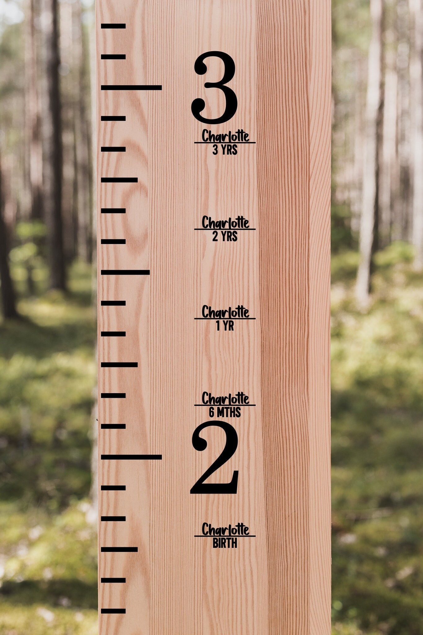 Growth Chart Add-On, Vinyl Decal Height Marker, Arrow with Name and Years, Custom Years Stickers, Birth day to 18yrs, 20 pcs
