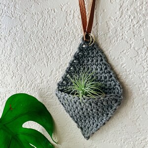 Crochet Air Plant Hanger image 5