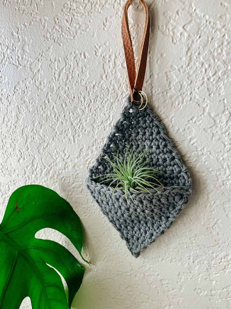 Crochet Air Plant Hanger image 5