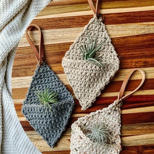 Crochet Air Plant Hanger image 1