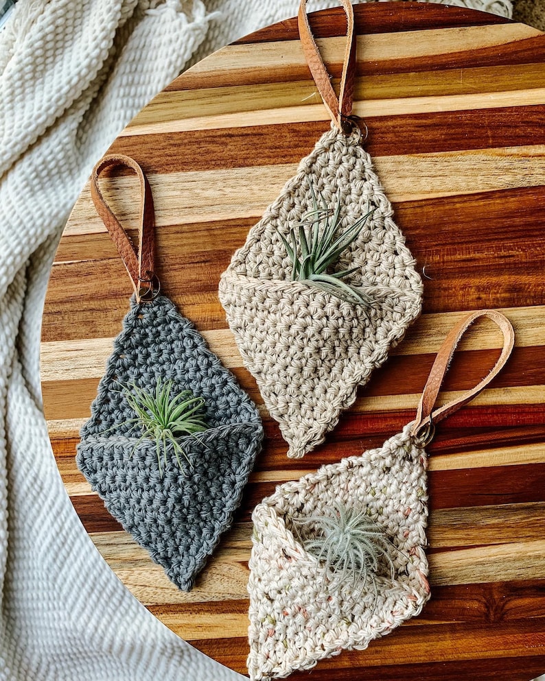 Crochet Air Plant Hanger image 1