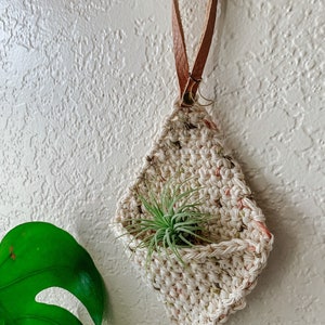 Crochet Air Plant Hanger image 3