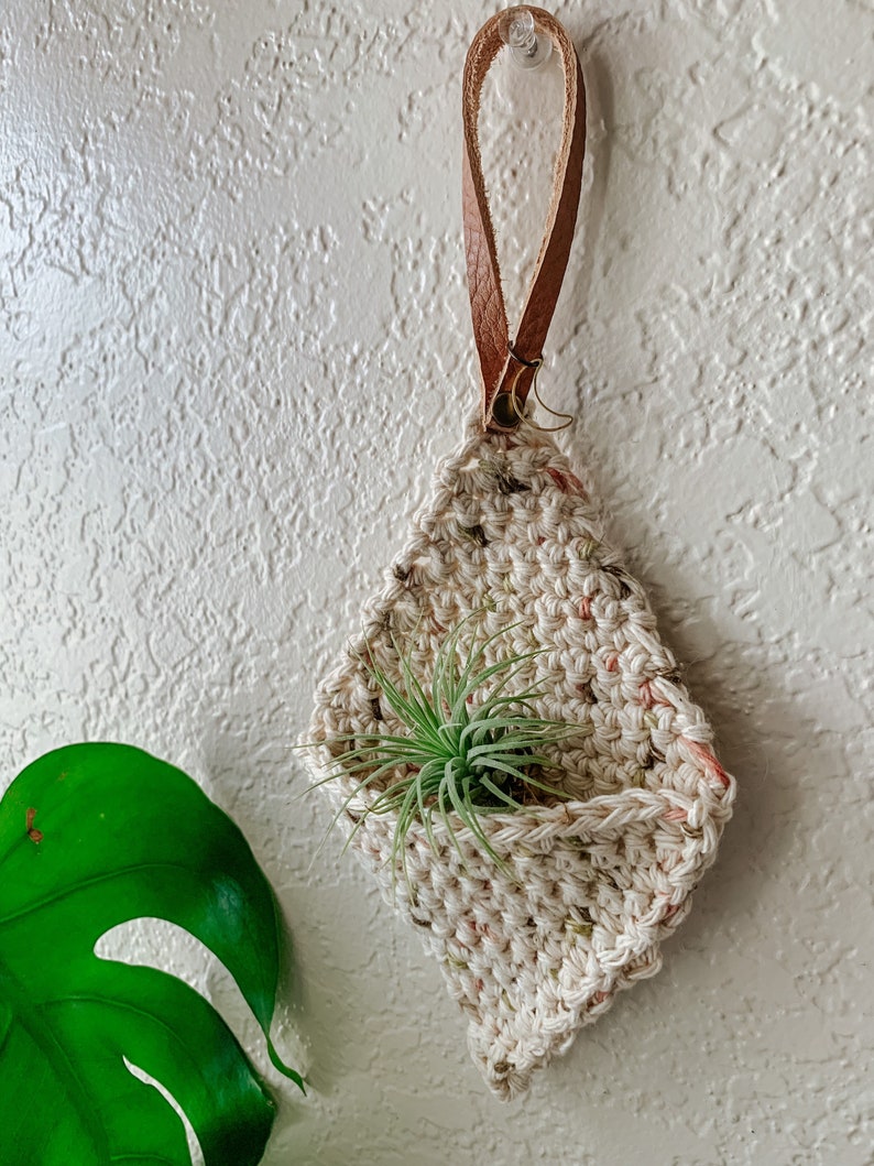 Crochet Air Plant Hanger image 3