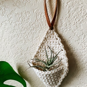 Crochet Air Plant Hanger image 2