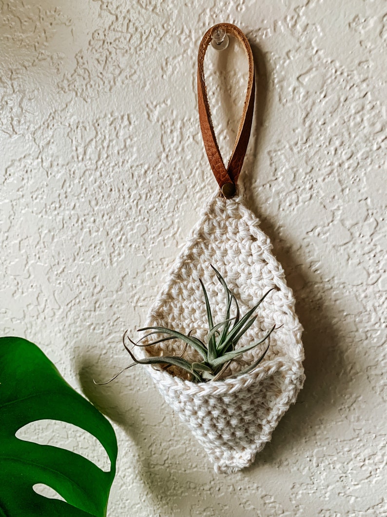 Crochet Air Plant Hanger image 2