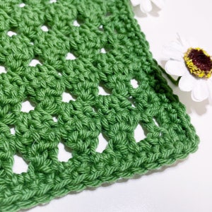 Jalapeno Crochet Washcloth Pattern: KnitPicks Dishie (PDF Pattern)