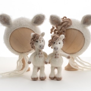 Newborn photography props. Knitted hat and toy. Horse.