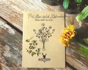 Bee Garden Flower Seed Collection, Set of 3 Seed Packets, Pollinator Flowers, Save the Bees, Cut Flower Seed Gift Set