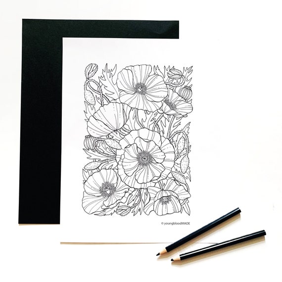 Coloring Page Poppy Flower - Top 20 Printable Poppy Flower Coloring Pages Online Coloring Pages : Coloringanddrawings.com provides you with the opportunity to color or print your poppy flower in color drawing online for free.