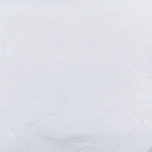 May include: A plain white sheet of paper with a slightly wrinkled texture.