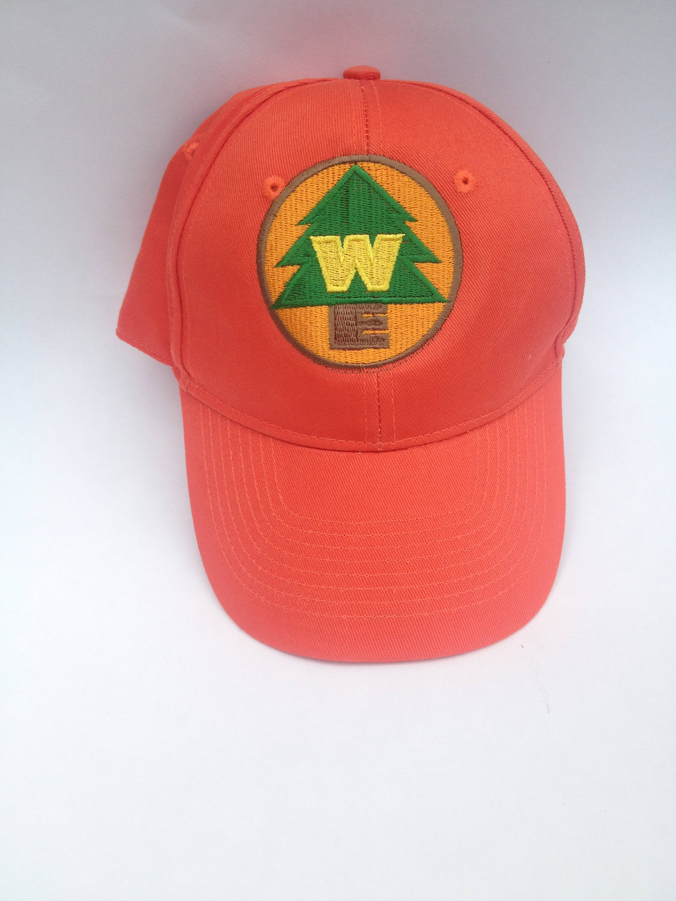 disney up hat