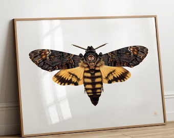 リアルなダークペーパーの蛾の切り抜き、両面、フェイクデスヘッド