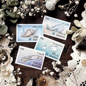 Vintage Marine Life Stamps – No. 18, Maldives, Natural History, Animal Stamps, Wildlife Stamps, Paper Ephemera, Curiosity, Oddity