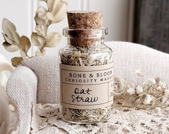 Dried Oat Straw in Glass Vial – No. 106, Dried Herbs, Dried Botanicals, Natural History, Curiosity, Apothecary, Altar Decor, Unique Gift