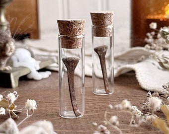 Real Horseshoe Nail in Glass Vial, Real Old Nails, Rustic Decor, Curiosity, Oddity, Natural History, Curio Cabinet, Unique Gift Idea