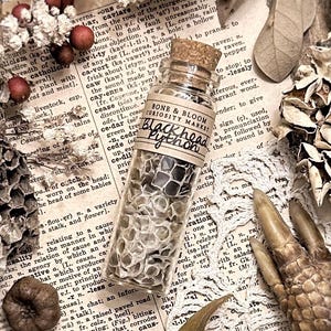 May include: A small glass vial with a cork stopper, labeled "Bone & Bloom Curiosity Market" and "Blackhead Python." The vial is filled with small, textured pieces, set on a vintage dictionary page with dried botanicals.