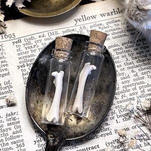 Real Tiny Rat Femur Bone in Glass Vial – No. 03, Rat Decor, Rat Gift, Natural History, Curiosity, Oddity, Altar Decor, Unique Gift Idea