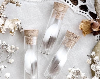 Tiny Cockatiel Feather in Glass Vial – No. 03, Real Feathers, Natural History, Curiosity, Oddity, Altar Decor, Unique Gift Idea