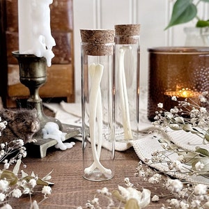 May include: Two glass vials with cork tops containing small white bones. The vials are on a wooden table with white flowers and a candle in the background.