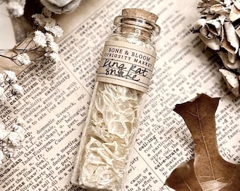 King Rat Snake Skin in Glass Vial, Real Snake Shed, Snake Decor, Natural History, Curiosity, Oddity, Altar Decor, Unique Gift