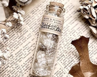 Nelson’s Milk Snake Skin in Glass Vial, Real Snake Shed, Snake Decor, Natural History, Curiosity, Oddity, Altar Decor, Unique Gift