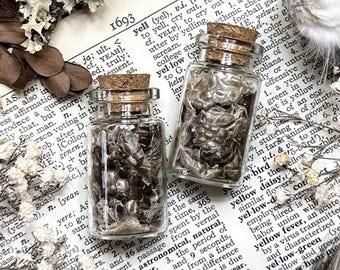 Real Argentine Tegu Skin in Small Glass Vial, Real Reptile Shed, Snake Decor, Natural History, Curiosity, Oddity, Altar Decor, Unique Gift