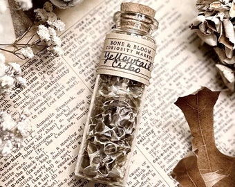 Yellowtail Cribo Snake Skin in Glass Vial, Real Snake Shed, Exotic Snake Decor, Natural History, Curiosity, Oddity, Altar Decor