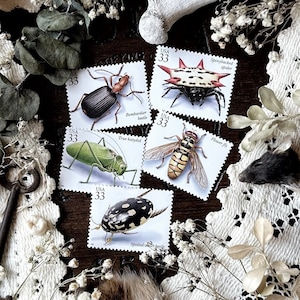 Vintage Insect Stamps – No. 27, US 1999, Natural History, Animal Stamps, Spider Stamps, Paper Ephemera, Curiosity, Oddity