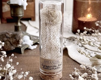 Kingsville Red Bullsnake Mask in Glass Vial, Real Snake Shed, Snake Decor, Natural History, Curiosity, Oddity, Altar Decor, Unique Gift
