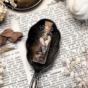 Real House Bugs in Tiny Glass Vial, Real Insects, Ladybug, Moth, Fly, Beetle, Natural History, Curiosity, Oddity, Entomology, Altar Decor
