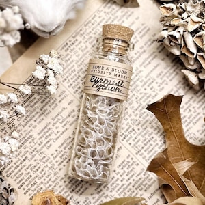 May include: A glass jar filled with white Burmese python shed skin. The jar has a cork stopper and a brown paper label that reads "BONE & BLOOM CURIOSITY MARKET Burmese Python".