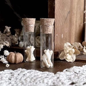 Real Badger Toe Bones in Glass Vial – No. 06, Natural History, Real Bones, Badger Decor, Curiosity, Oddity, Altar Decor, Unique Gift Idea