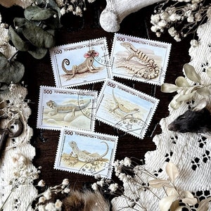 Vintage Lizard Stamps – No. 17, Tajikistan 1995, Natural History, Animal Stamps, Reptile Stamps, Paper Ephemera, Curiosity