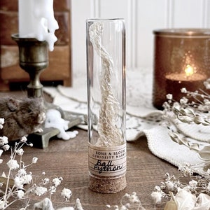 May include: A glass tube containing a shed snake skin, labeled "Ball Python" with a cork stopper. The tube is on a wooden surface with white flowers.