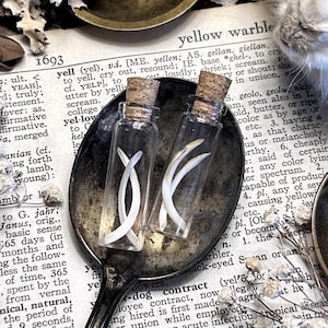 May include: Two small glass bottles with cork stoppers, each containing a white wishbone, rest on a vintage spoon. The spoon sits on a page from an old dictionary, surrounded by dried flowers and small brass bowls.