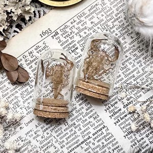 Real Petite Scorpion Molt in Glass Dome – No. 01, Real Scorpion Exoskeleton, Curiosity, Oddity, Entomology, Altar Decor, Unique Gift Idea