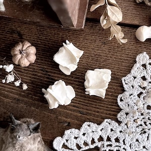 3 Opossum Vertebrae Bones – No. 01, Opossum Decor, Natural History, Curiosity, Oddity, Apothecary, Altar, Unique Gift Idea