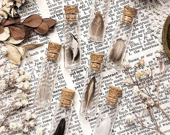 One Real Tiny Mystery Feather in Tiny Glass Vial, Natural History, Curiosity, Oddity, Real Feather, Bird Decor, Altar Decor