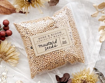 Yellow Mustard Seeds – No. 102, Dried Herbs, Dried Botanicals, Bulk Herbs, Natural History, Curiosity, Apothecary, Altar Decor