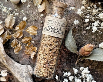 Dried Horse Chestnut Flowers in Glass Vial, Dried Botanicals, Natural History, Curiosity, Apothecary, Altar Decor, Unique Gift Idea