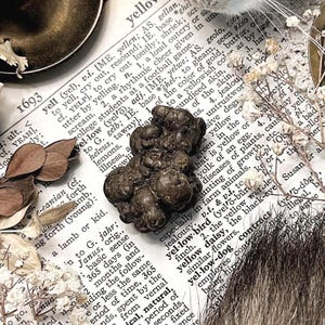 May include: A dark brown, lumpy, organic-looking mineral specimen resting on an open dictionary page. The page features text entries including "yell" and "yellow." Surrounding the specimen are dried white flowers, brass objects, and fur.
