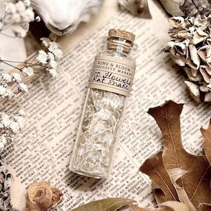 100 Flowers Rat Snake Skin in Glass Vial, Real Snake Shed, Snake Decor, Natural History, Curiosity, Oddity, Altar Decor, Unique Gift Idea