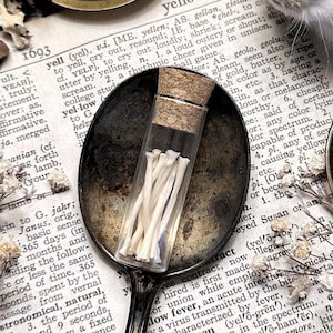 Real Rat Radius Bones in Glass Vial – No. 01, Rat Decor, Rat Gift, Natural History, Curiosity, Oddity, Altar Decor, Unique Gift Idea