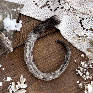 Real Mummified Opossum Tail – No. 01, Opossum Decor, Opossum Gift, Natural History, Curiosity, Oddity, Apothecary, Altar Decor, Unique Gift